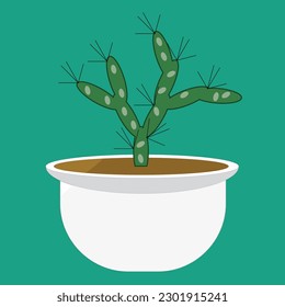 Diferentes especies de cactus en macetas