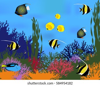 Different species of coral fish. Color vector illustration.