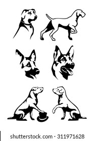 Different species of dogs vector set