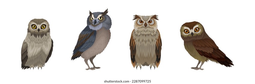 Different Species of Owl as Nocturnal Bird of Prey with Hawk-like Beak and Forward-facing Eyes Vector Set