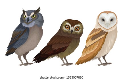 Different Species of Owls Collection, Wild Predatory Birds Vector Illustration