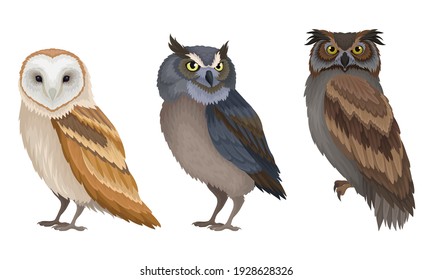 Different Species Of Owls As Nocturnal Birds Of Prey With Hawk-like Beak And Forward-facing Eyes Vector Set