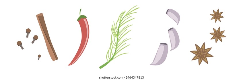 Different Spice and Condiment for Cooking Vector Set