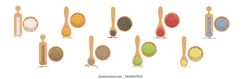 Different Spice and Condiment Pile for Cooking Vector Set