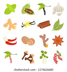 Different spices color flat icons set