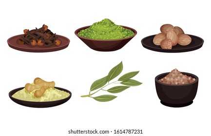 Different Spices and Condiments Dried and Powdered Poured in Bowl Vector Set