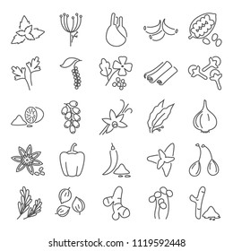 Different spices line icons set