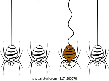 The different spider 