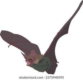 different spooky Halloween Flying Bat