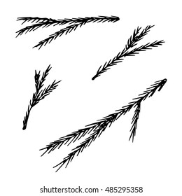 Different spruce branches - hand-drawn black marker. Isolated on white background. Use as illustrations or decorations for newspapers, magazines, invitations, letters, cards etc. Vector set. Eps 10