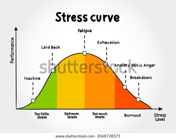 Different Stages Stress Curve Educational Diagram Stock Vector (Royalty ...