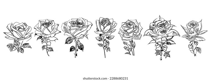 Different style Seven Roses Coloring Book showcases seven distinct roses.