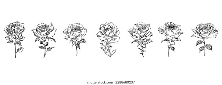 El libro de colores Seven Roses de estilo diferente muestra siete rosas distintas.