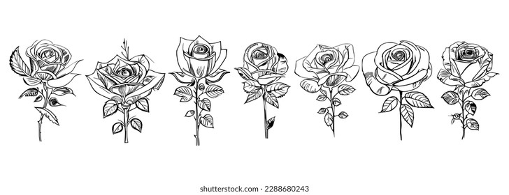 El libro de colores Seven Roses de estilo diferente muestra siete rosas distintas.