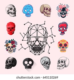 Different style skulls faces vector illustration halloween horror style tattoo anatomy art.
