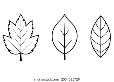 Different Styles of Leaves Vector Line Art Silhouettes