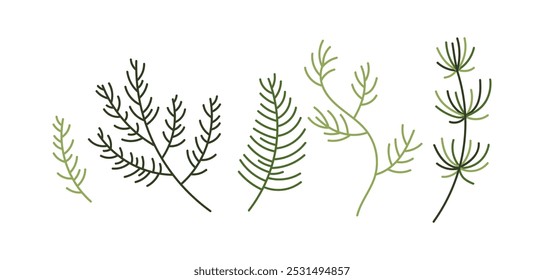 Different stylized pine branches flat color vector objects set. Christmas and new year greeting cards elements illustrations pack on white
