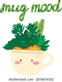 diferentes suculentos en una taza linda