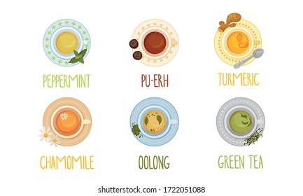 Different Tea Types Poured in Cups and Standing on Saucer Vector Set
