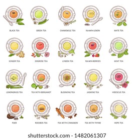 Different tea types - vector illustration set. Colorful herbal drink collection in glass teacup and plate seen from top view, isolated beverages with flower, hand drawn fruit and berries arrangement