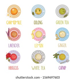 Different Tea Types Vector Set. Colorful Herbal Drinks Poured in Teacup Standing on Saucer View From Above Collection. Beverages With Herbal Ingredients Lying Nearby