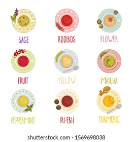 Different Tea Types Vector Set. Colorful Herbal Drinks Poured in Teacup