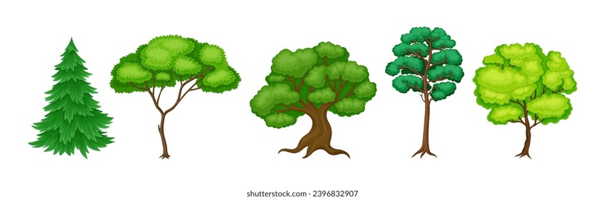 Different Tree with Trunk and Green Crown Vector Set