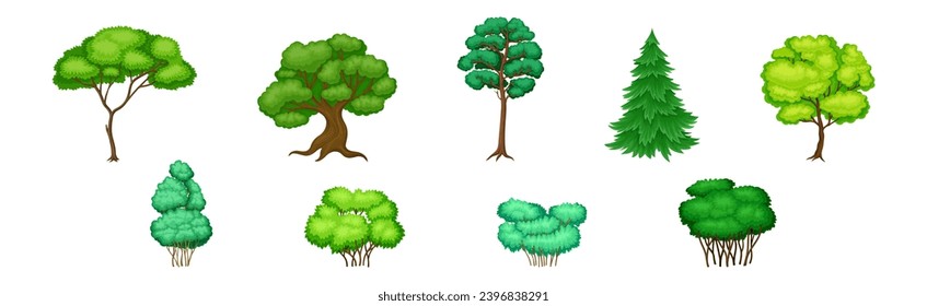 Different Tree with Trunk and Green Crown Vector Set