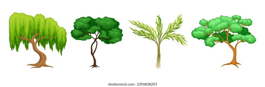 Different Tree with Trunk and Green Crown Vector Set