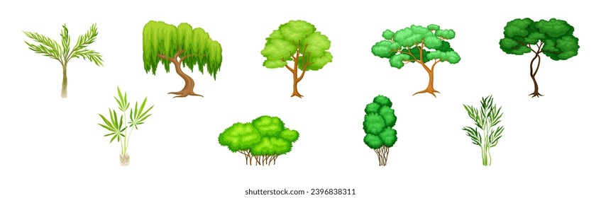 Different Tree with Trunk and Green Crown Vector Set