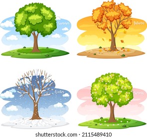 Different Trees Four Seasons Illustration Stock Vector (royalty Free 