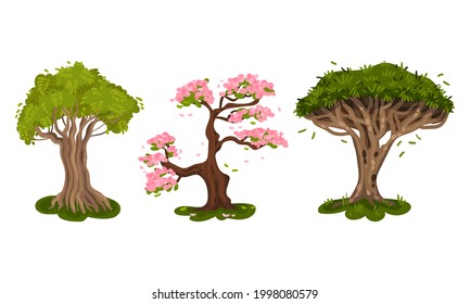 Different Trees as Perennial Plant with Trunk, Branches and Leaves Vector Set