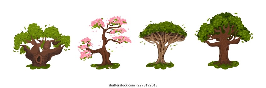 Different Trees as Perennial Plant with Trunk, Branches and Leaves Vector Set