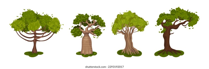 Different Trees as Perennial Plant with Trunk, Branches and Leaves Vector Set