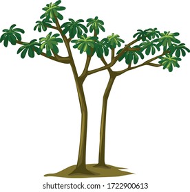 different trees and plant for garden or jungle