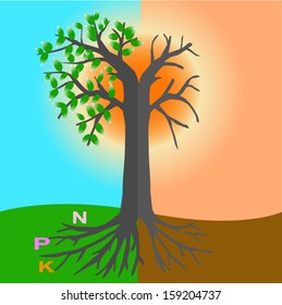 Different trees receive nutrients  with malnutrition to study.