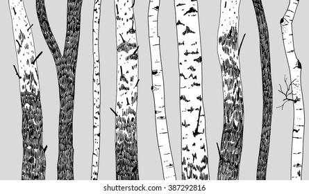 Different trees repeated border. Hand drawn silhouettes.
