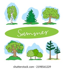 Different trees and summer season