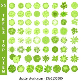 88,117 Architectural plant symbols Images, Stock Photos & Vectors ...