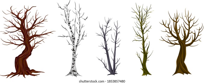 different trees without leaves. winter