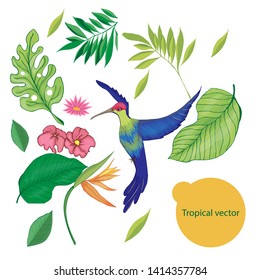 Different tropical elements, palm leaves, bird, tropical flowers, fruits, cosmetic items, jars, bottles.