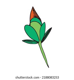 Different tropical floral isolated on white background