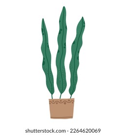 Different tropical house plant. Ficus, monstera, protea, pellaea, succulent in various pot, vase. Scandinavian cozy home decor. Flat vector cartoon illustration isolated on white background