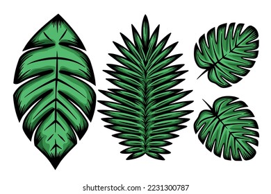 Different tropical leaf - hand drawn - vector illustration
