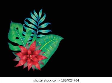 Different tropical leaves and a bromelia flower isolated on black. Vector illustration. Green leaves.