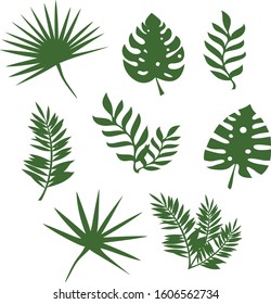Different tropical leaves collection, vector illustration. Green palm leaves set. Leaf pattern for Fashion, interior, wrapping, print, packaging suitable