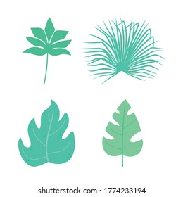 diferentes hojas tropicales follaje naturaleza botánica iconos decorativos diseño aislado ilustración vectorial