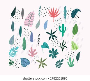 different tropical leaves foliage botancial nature icons isolated design vector illustration