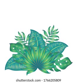 Different tropical leaves isolated on white. Vector illustration. Green leaves. 