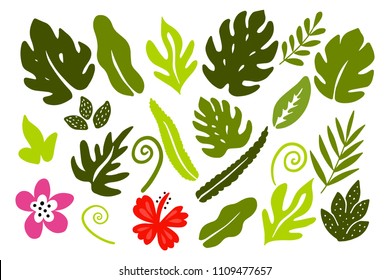 Different tropical leaves on white background.